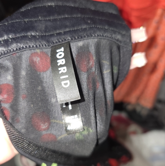 🍁🍂Torrid Cherry XO Plunge Push-Up Longline Bra 46dd - Picture 4 of 6